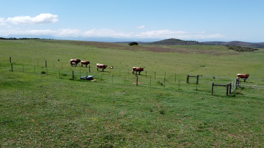 Commercial Property for Sale in Mossel Bay Rural Western Cape
